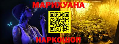 крисы Можга