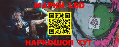 крисы Можга