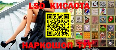 крисы Можга