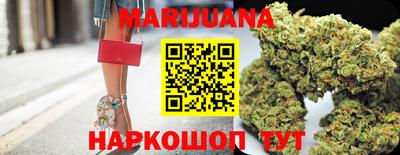 крисы Можга