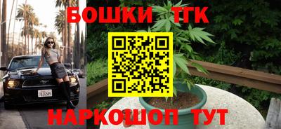 крисы Можга