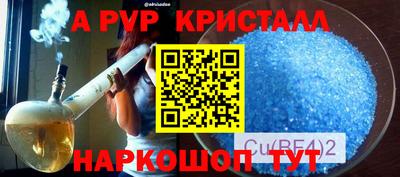 крисы Можга