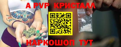 крисы Можга